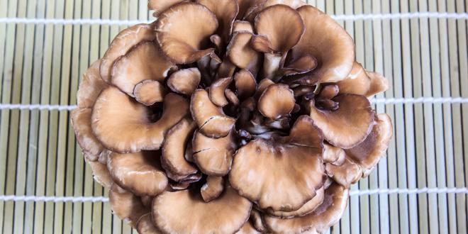A cluster of maitake mushrooms on a bamboo mat